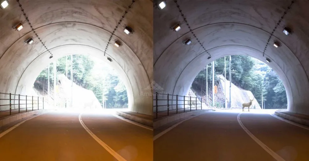 高质量的图像处理使人工智能如虎添翼